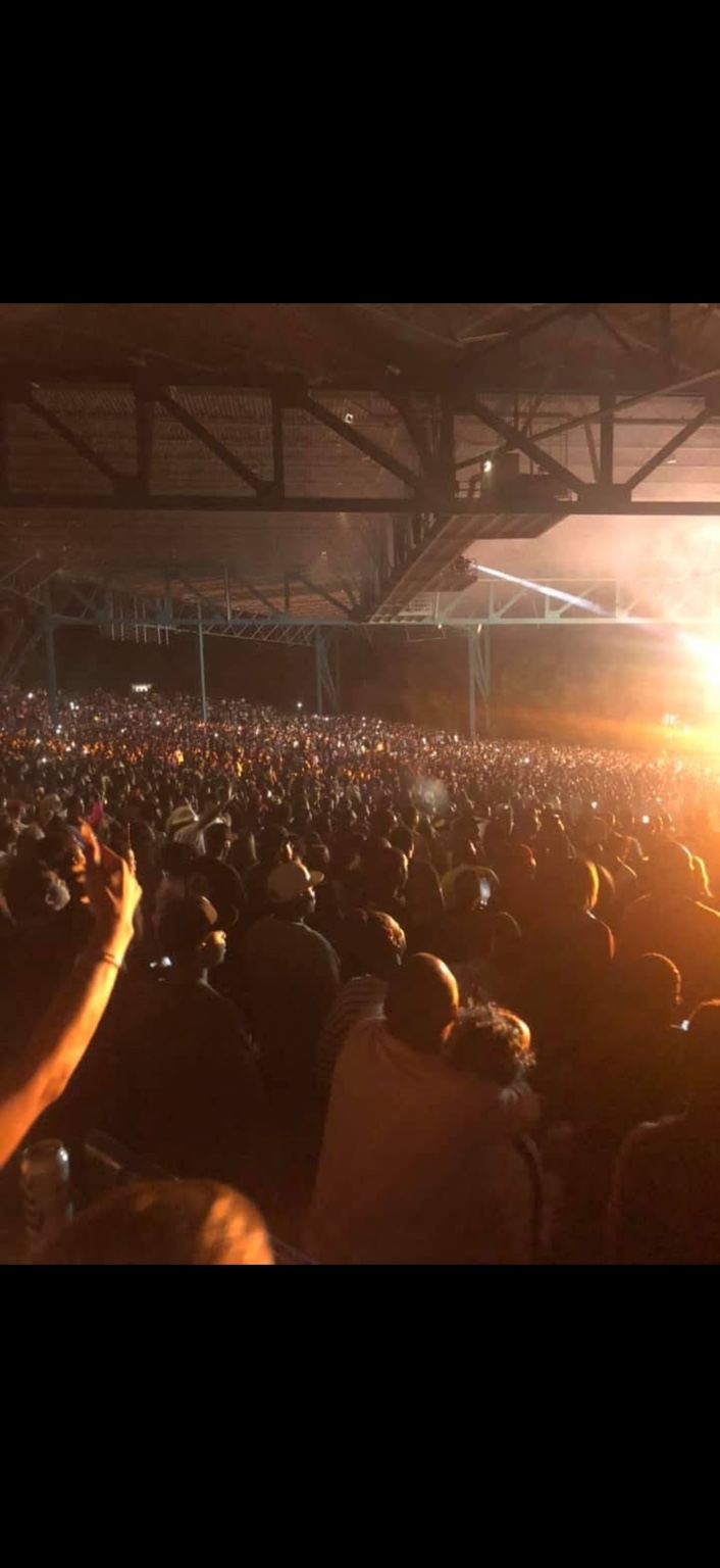 A packed Shaggfest crowd glowing under the stage lights